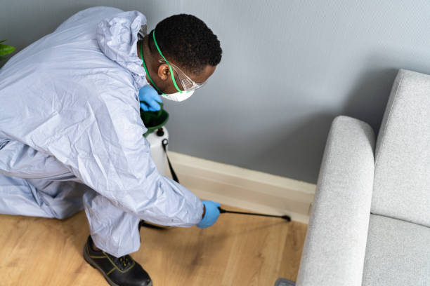 Best Bed Bug Extermination  in Drain, OR